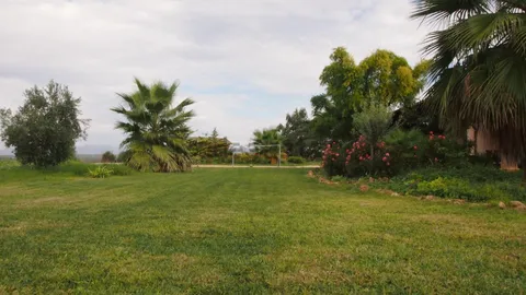 Pis de 778 m² a Palma