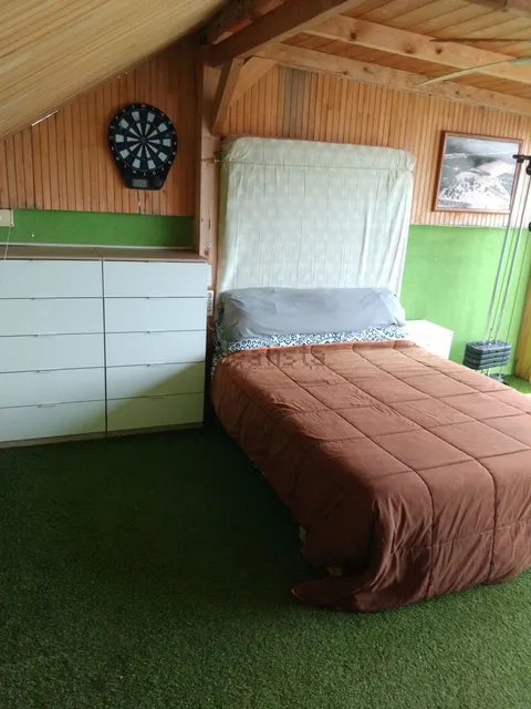 Habitació de lloguer, Oriola