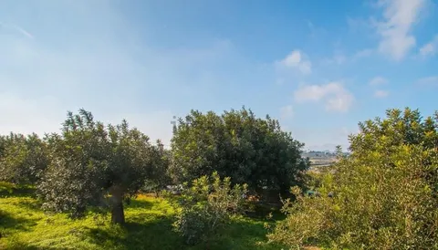 Wohnung 171 m² in Teulada
