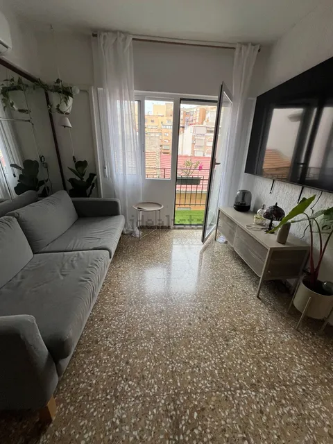 Stanza in affitto, Alacant / Alicante