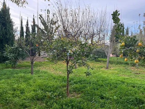 Maison 300 m² à Alaquàs