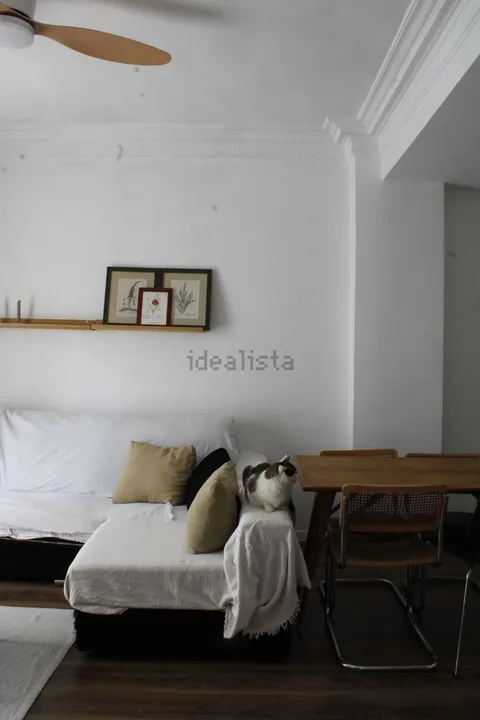 Habitació de lloguer, Saragossa
