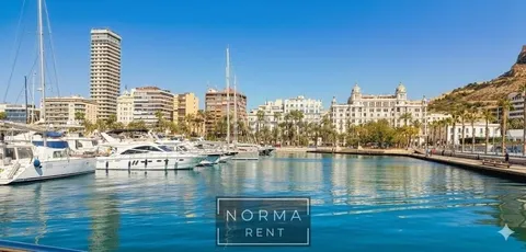 Pis de 35 m² a Alacant (3/24)