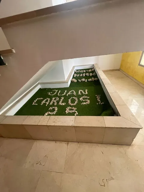 Habitació de lloguer, Saragossa