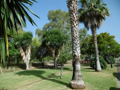 Appartamento 39 m² a Marbella