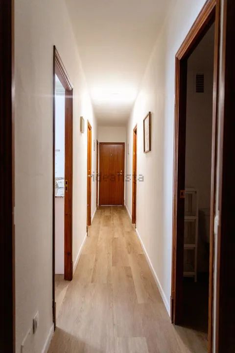 Habitació de lloguer, Palma