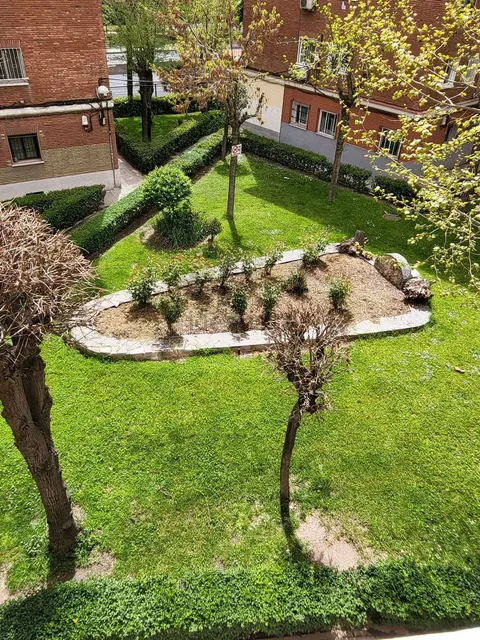 Stanza in affitto, Madrid