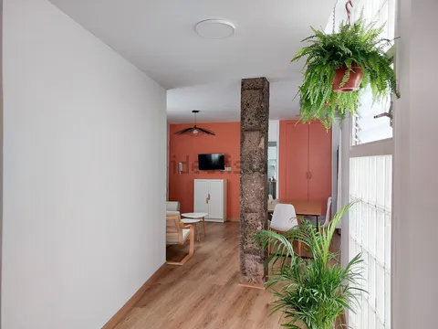 Habitació de lloguer, Las Palmas de Gran Canaria