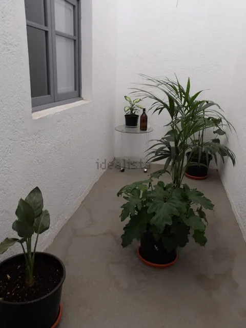 Chambre à louer, Güímar