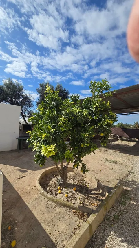 Casa de 200 m² a Elx