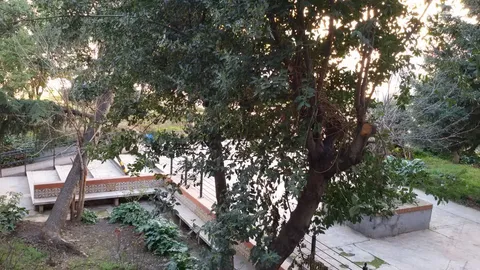 Habitació de lloguer, Granada