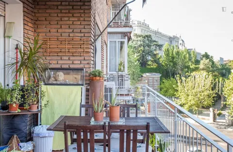 Кімната в оренду, Madrid