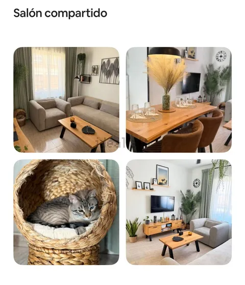 Chambre à louer, Saragosse
