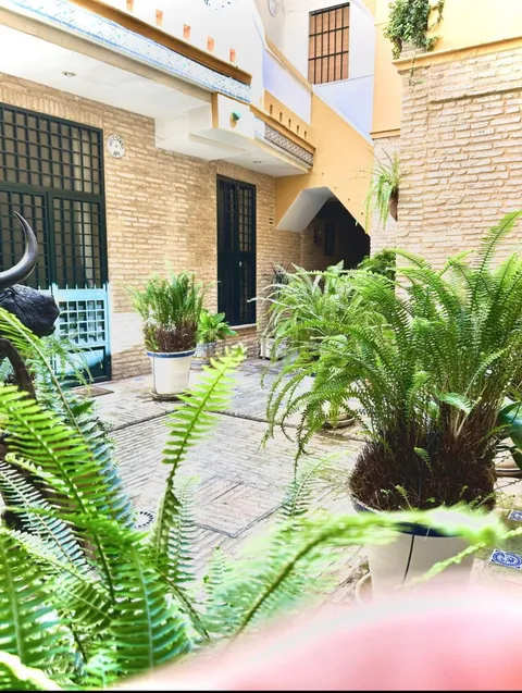 Pis de 40 m² a Sevilla (3/13)