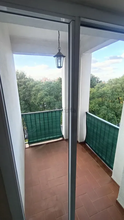 Habitació de lloguer, Sevilla (3/8)