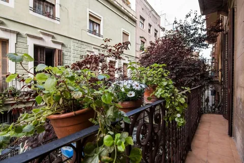 Habitació de lloguer, Barcelona