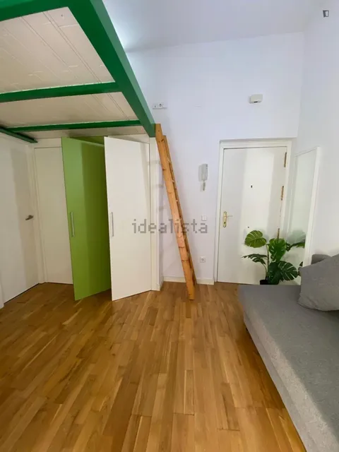 Pis de 29 m² a Madrid