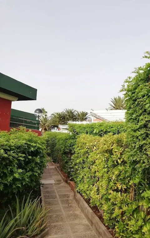 Будинок 60 м² у San Bartolomé de Tirajana (2/4)