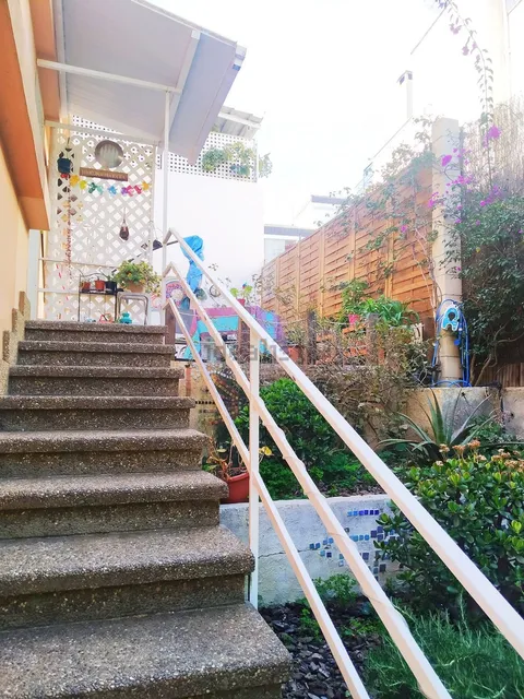 Stanza in affitto, Palma
