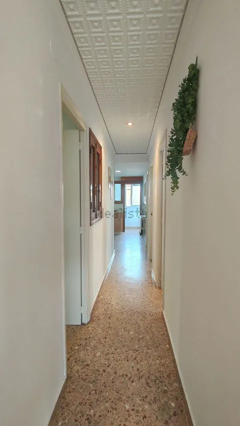 Wohnung 60 m² in Oliva
