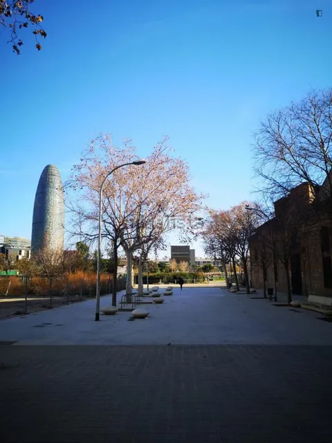 Habitació de lloguer, Barcelona