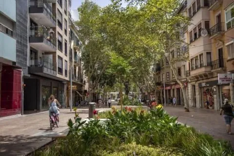 Habitació de lloguer, Palma