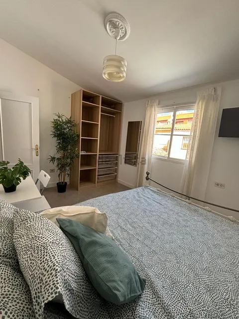 Room for rent, Arona