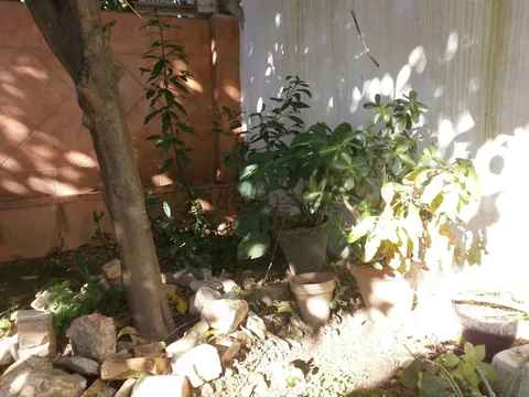 Casa de 120 m² a Galaroza