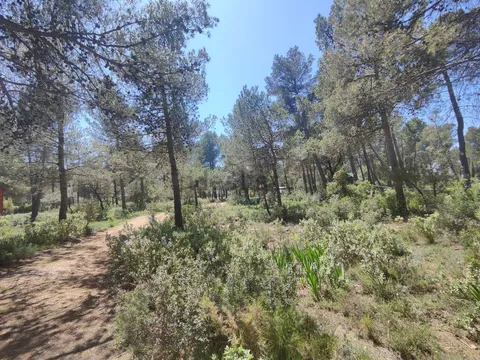Moradia 92 m² em Enguera