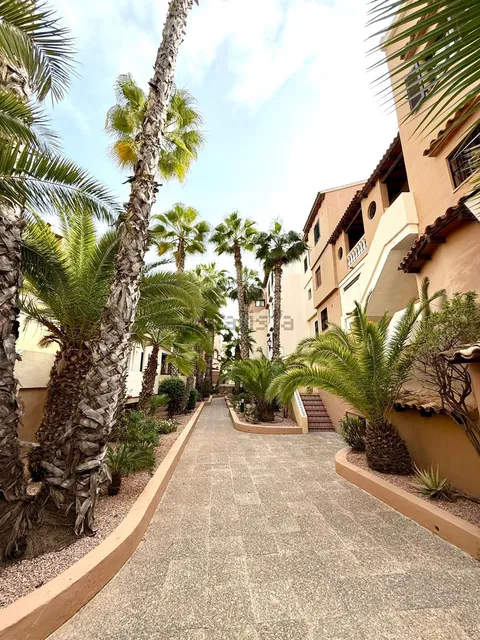 Wohnung 60 m² in Torrevieja