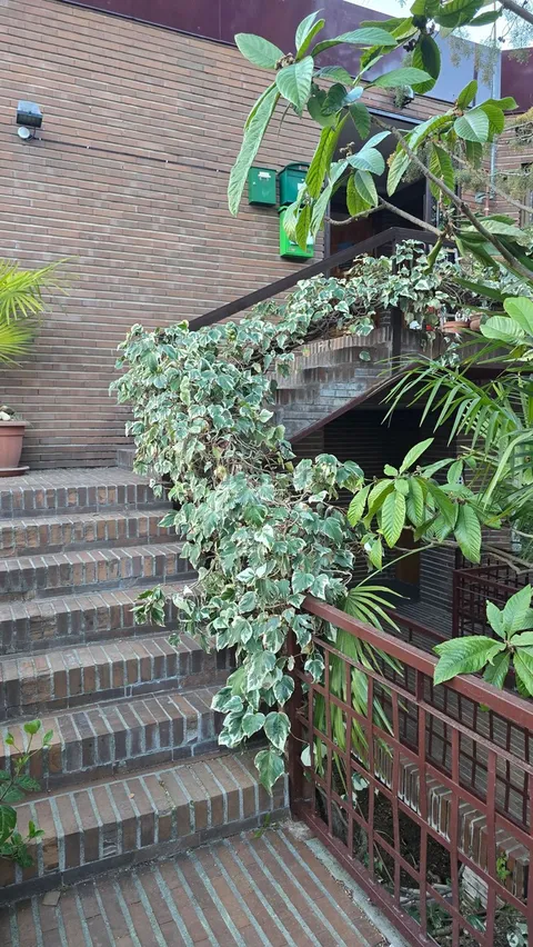 Appartamento 54 m² a Madrid