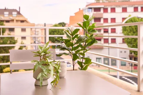 Stanza in affitto, Zamora