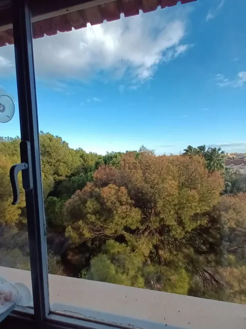 Habitació de lloguer, Burjassot