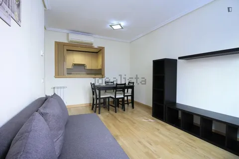 Wohnung 39 m² in Madrid