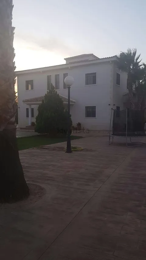 House 800 m² in Elx / Elche (2/9)