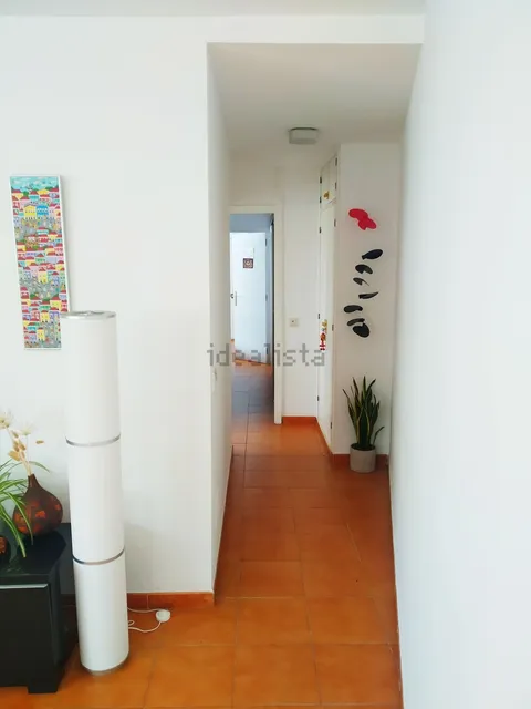 Stanza in affitto, Palma