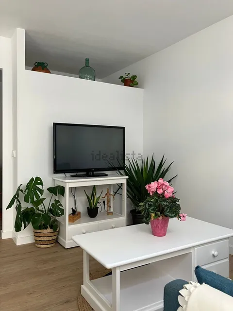 Habitació de lloguer, Palma