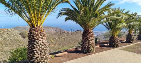 Maison 120 m² à San Cristóbal de La Laguna