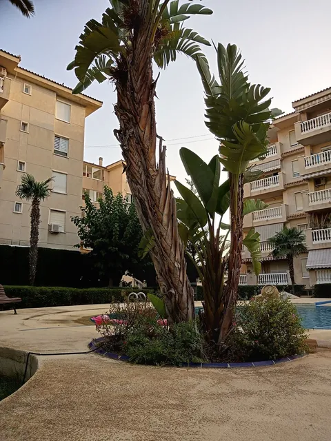 Pis de 65 m² a l'Alfàs del Pi