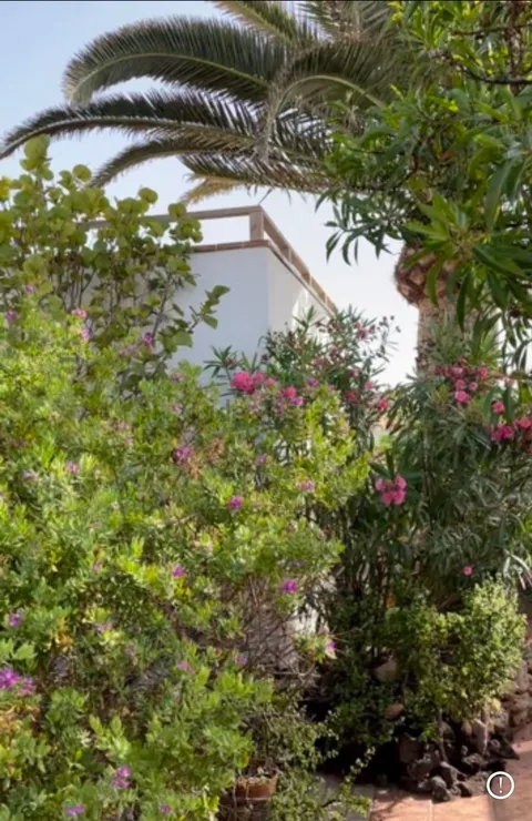 Habitació de lloguer, La Oliva