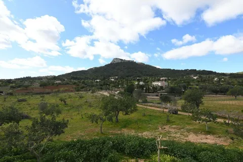 Pis de 310 m² a Felanitx