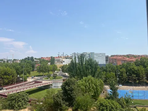 Habitació de lloguer, Guadalajara