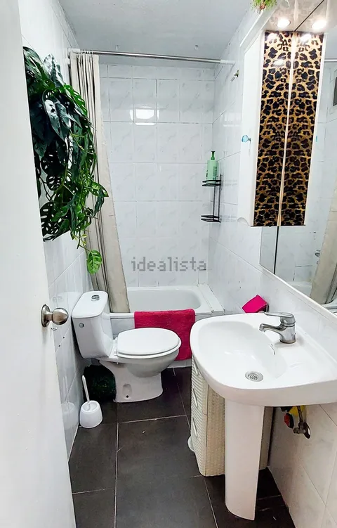 Habitació de lloguer, Alacant