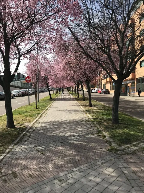 Pis de 90 m² a Madrid