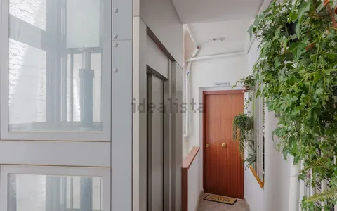 Flat 49 m² in Madrid