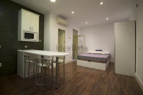 Flat 31 m² in Madrid