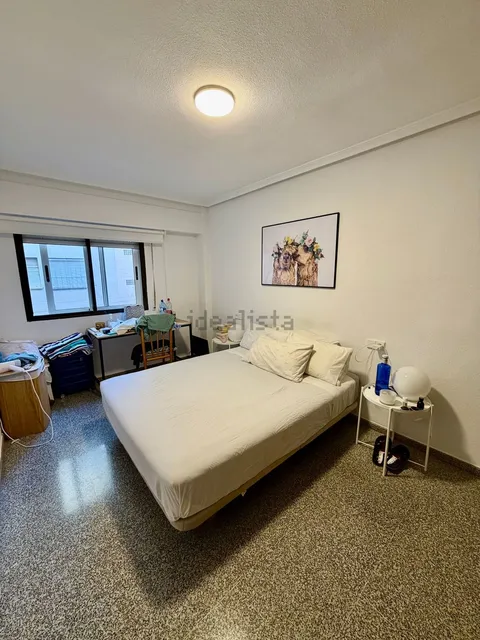 Habitació de lloguer, Alacant