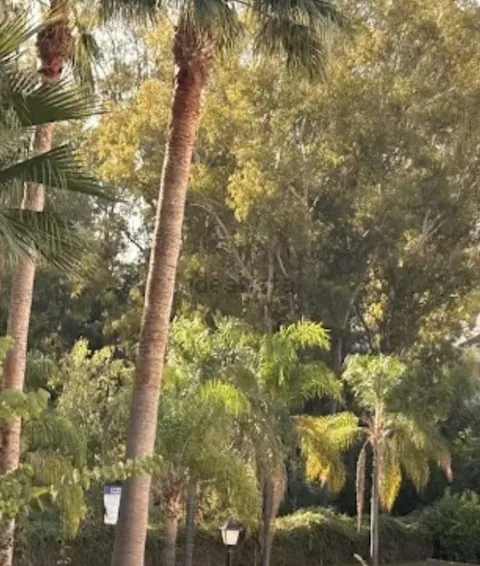 Wohnung 100 m² in Marbella