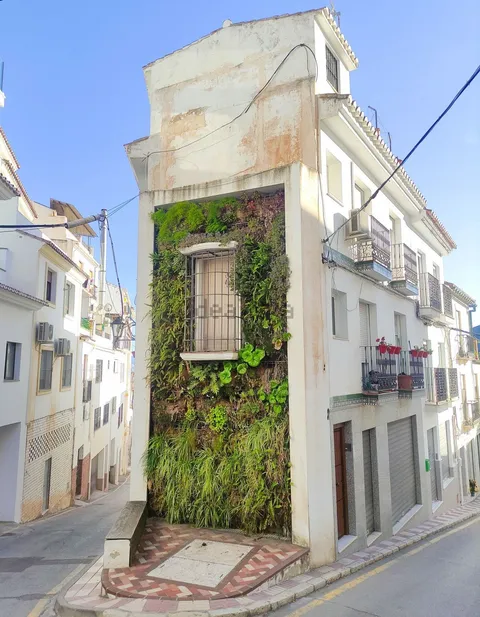 Habitació de lloguer, Álora