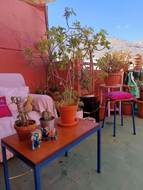 Chambre à louer, Santa Cruz de Ténérife